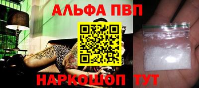 стафф Кингисепп