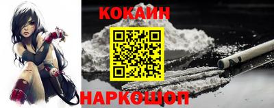 стафф Кингисепп