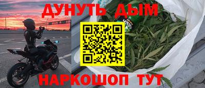 стафф Кингисепп