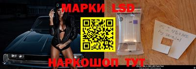 стафф Кингисепп