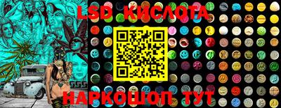 стафф Кингисепп