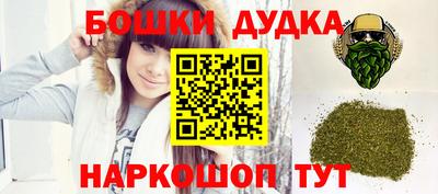 стафф Кингисепп