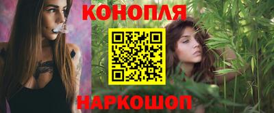 стафф Кингисепп