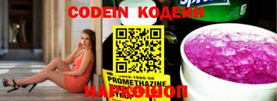 стафф Кингисепп
