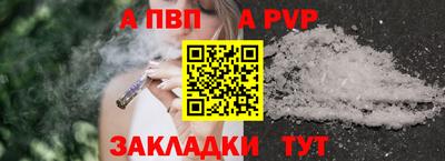 стафф Кингисепп