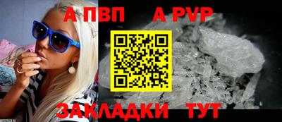 стафф Кингисепп