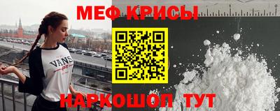 стафф Кингисепп